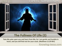 The Fullness Of Life (2)